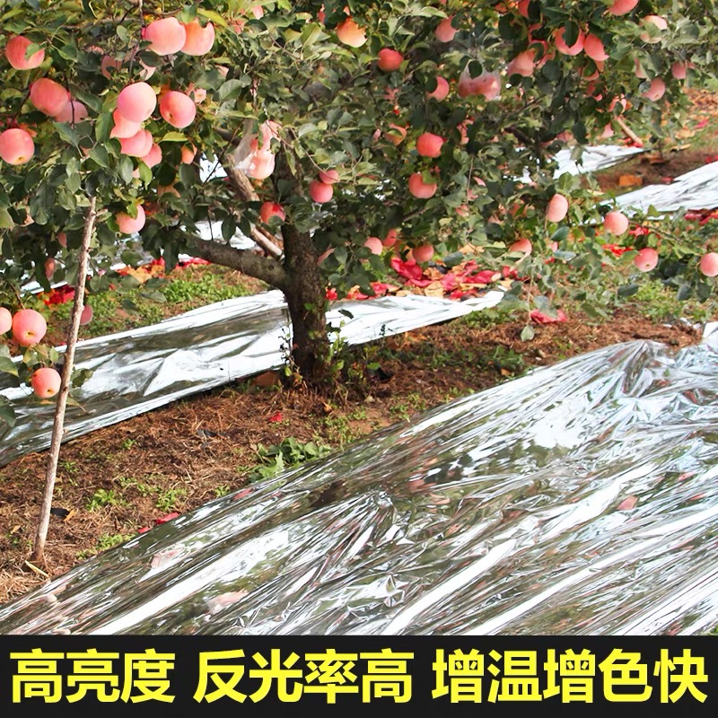 成都市防草布果树反光膜 - 厂家
